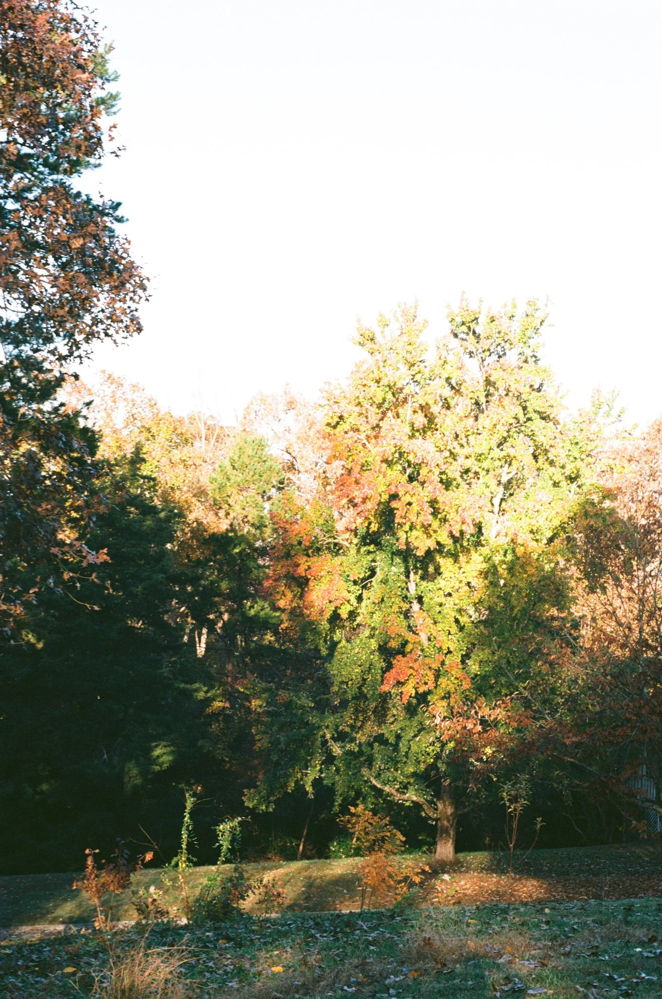 colors old film-046.jpg