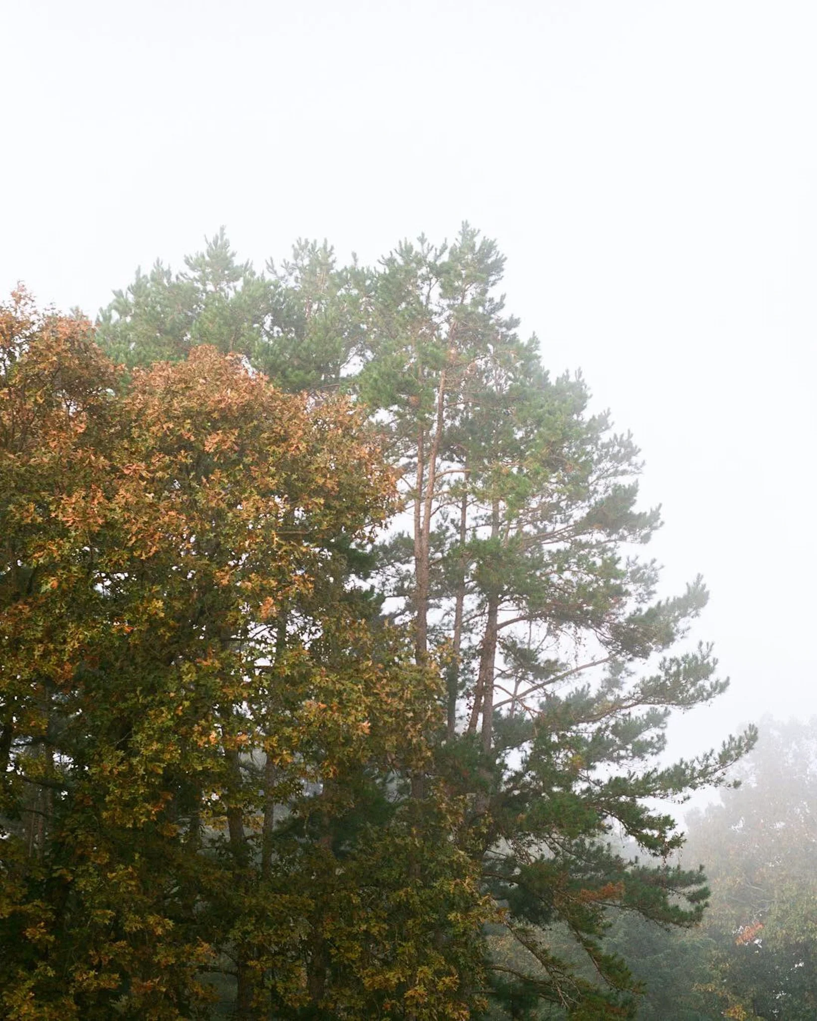 colors old film-027.JPG