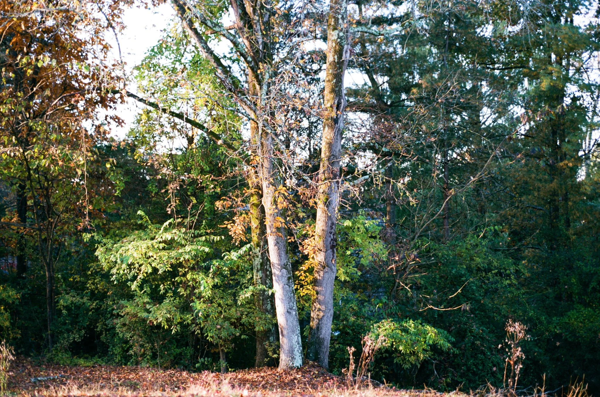 colors old film-045.jpg