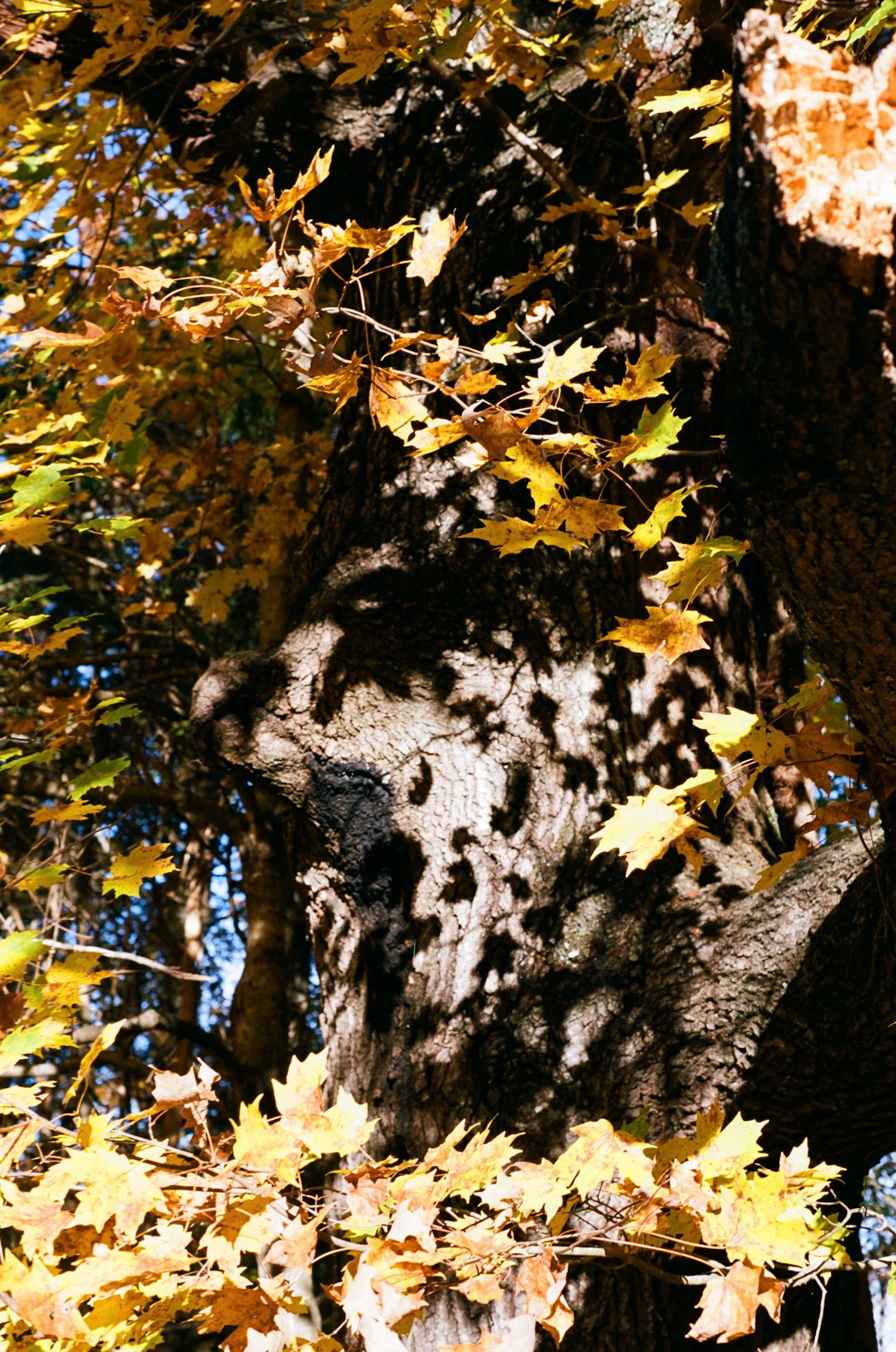 colors old film-050.jpg