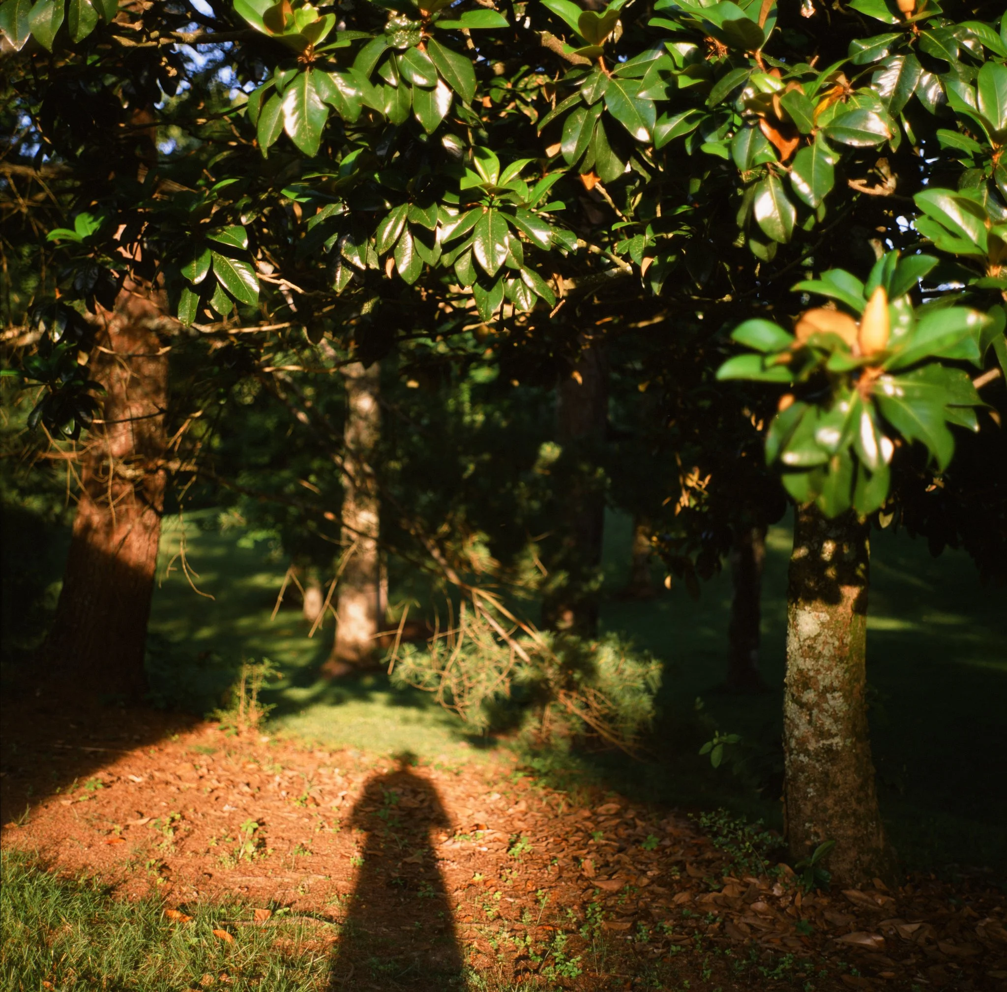 colors old film-066.jpg