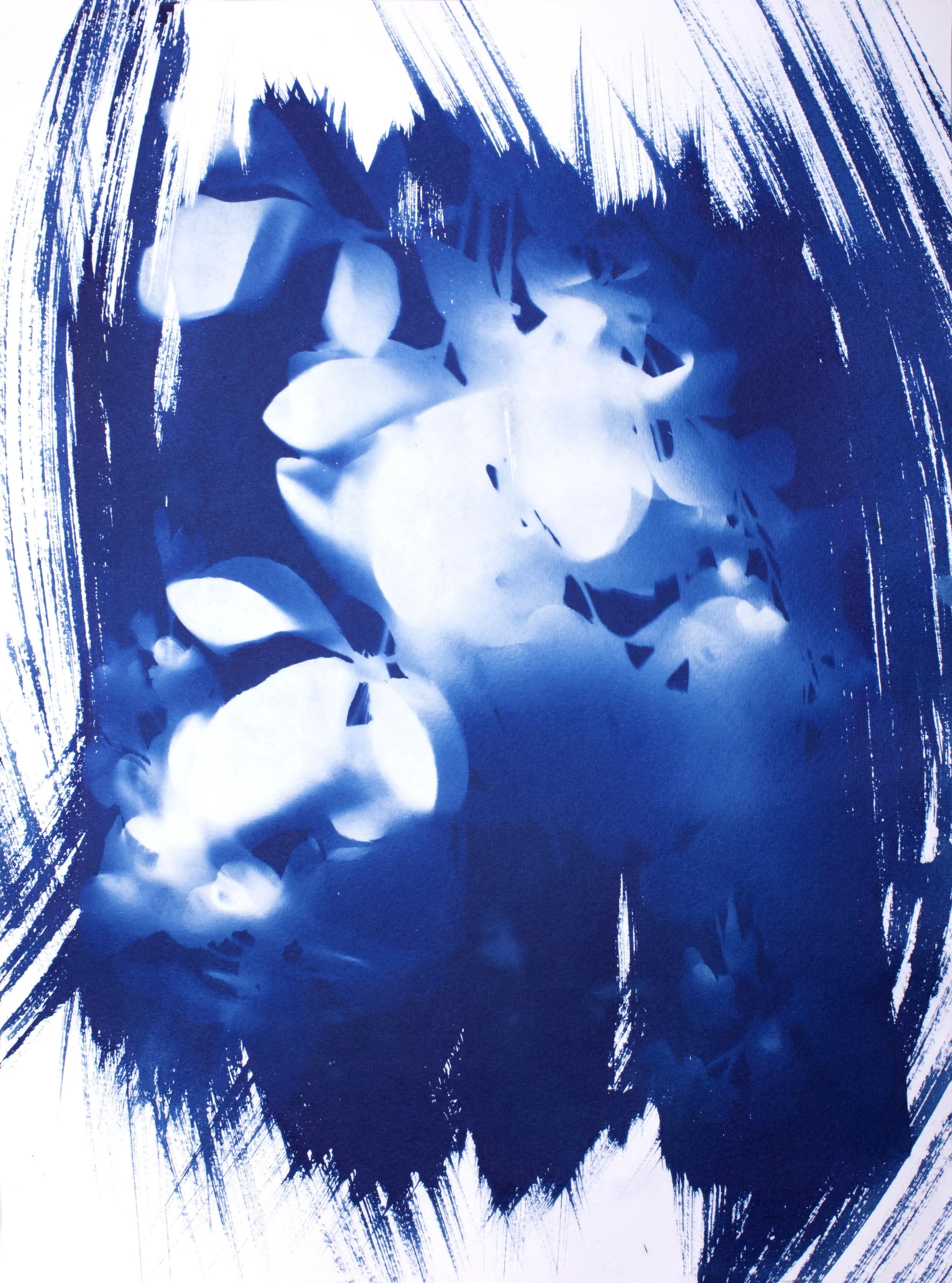 fake_flowers-cyano copy.jpg