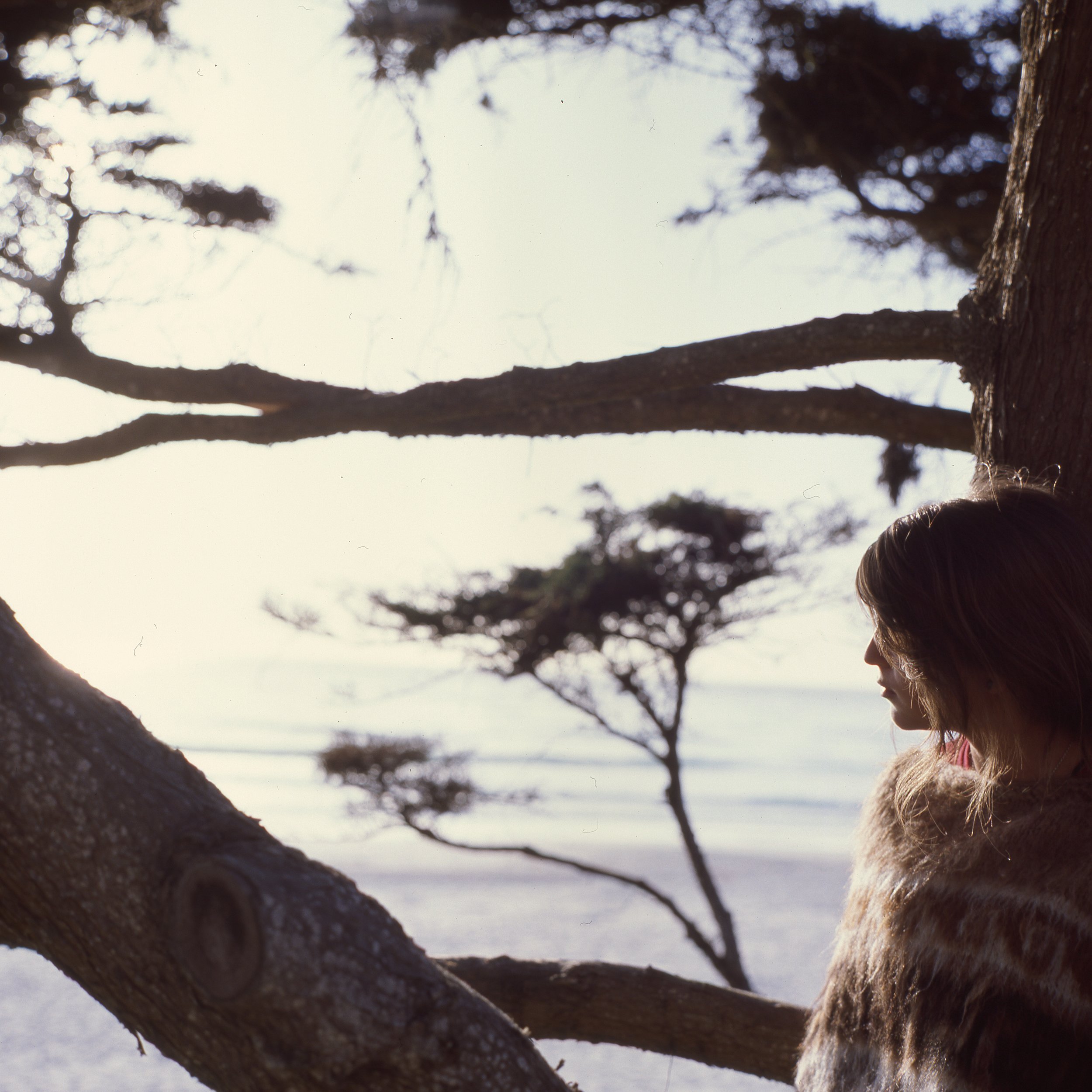 bigsur_carmel008.jpg