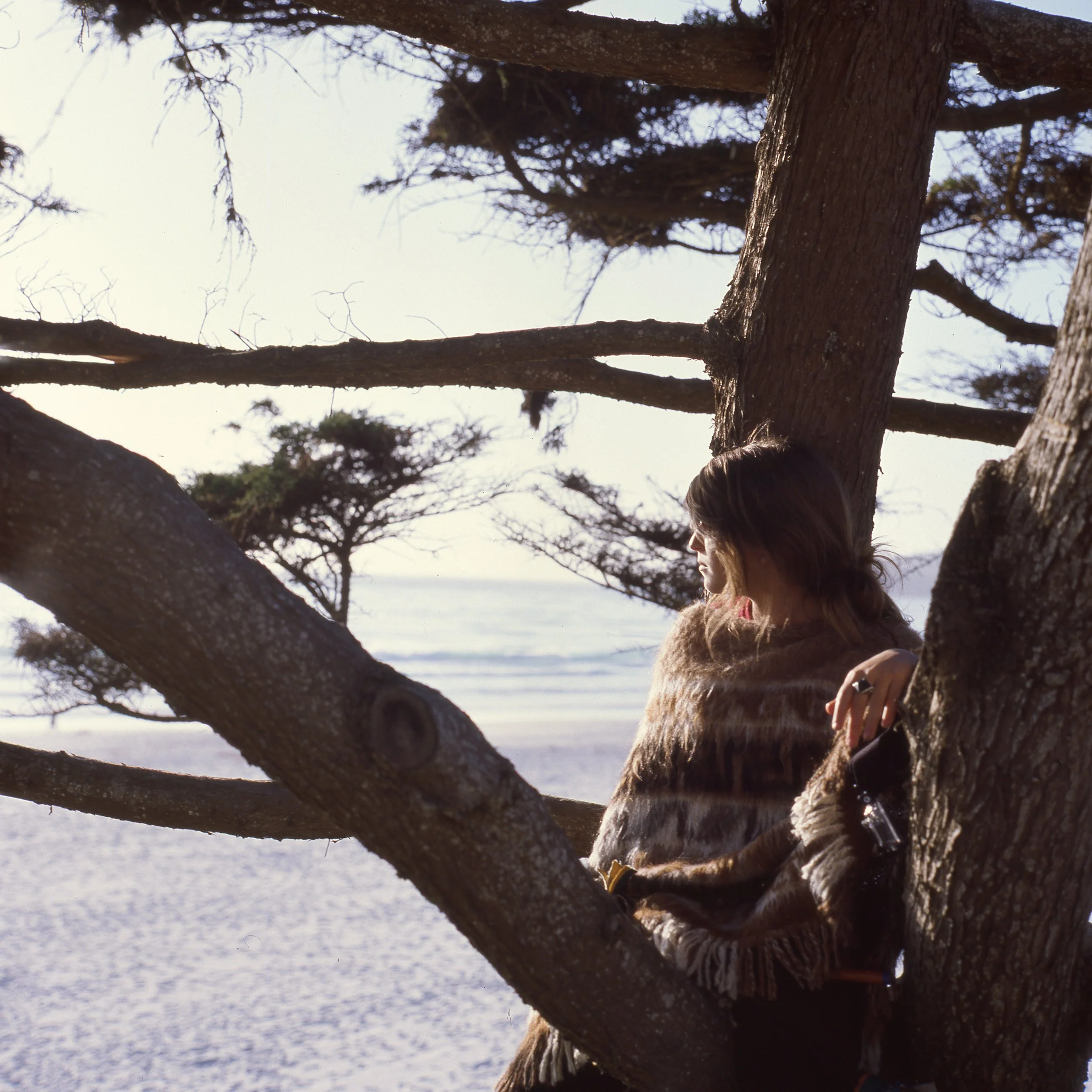 bigsur_carmel011.jpg