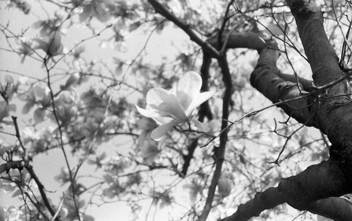 oldiesb&w*64.jpg