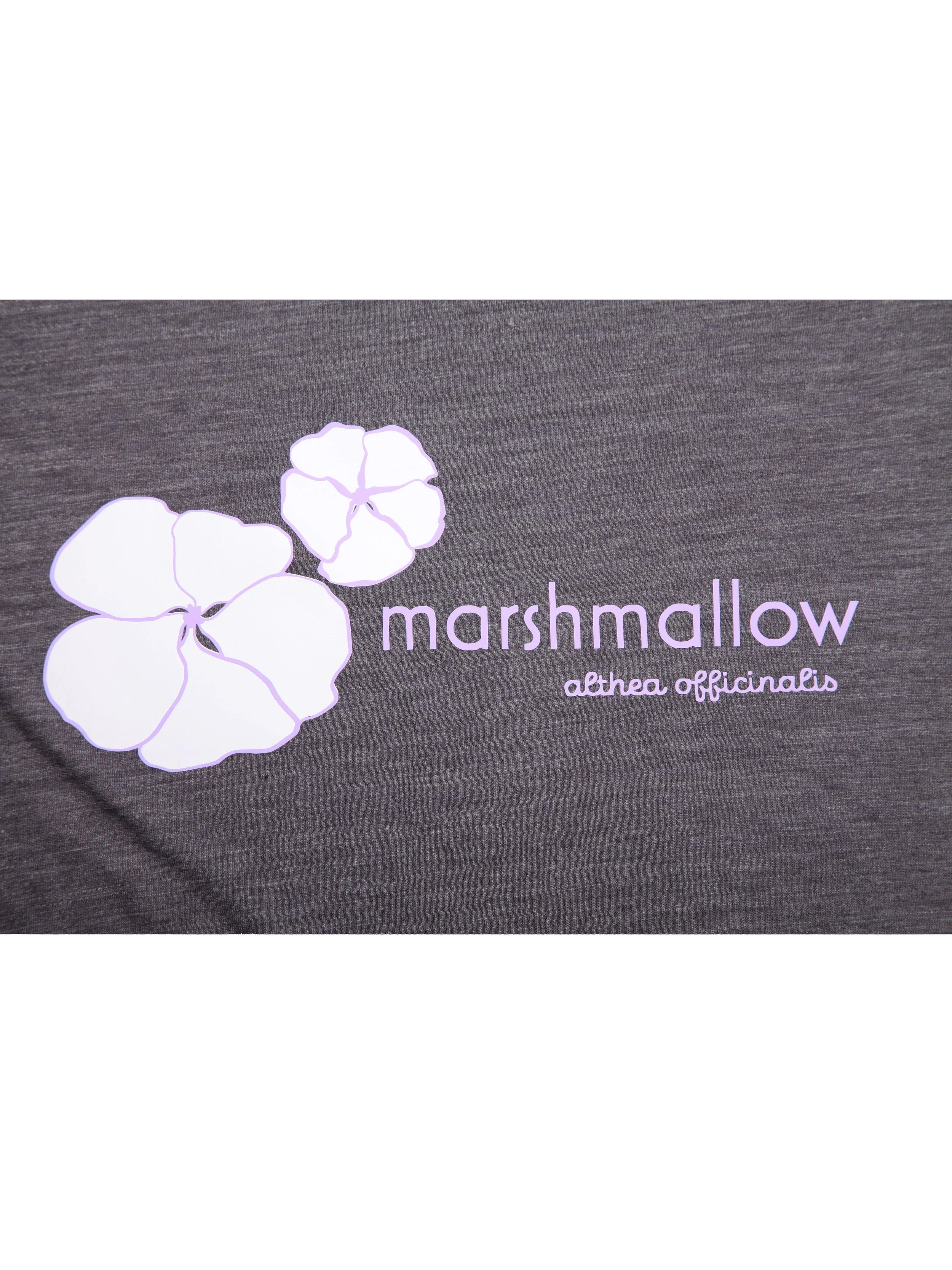 marshamallow_5.jpg