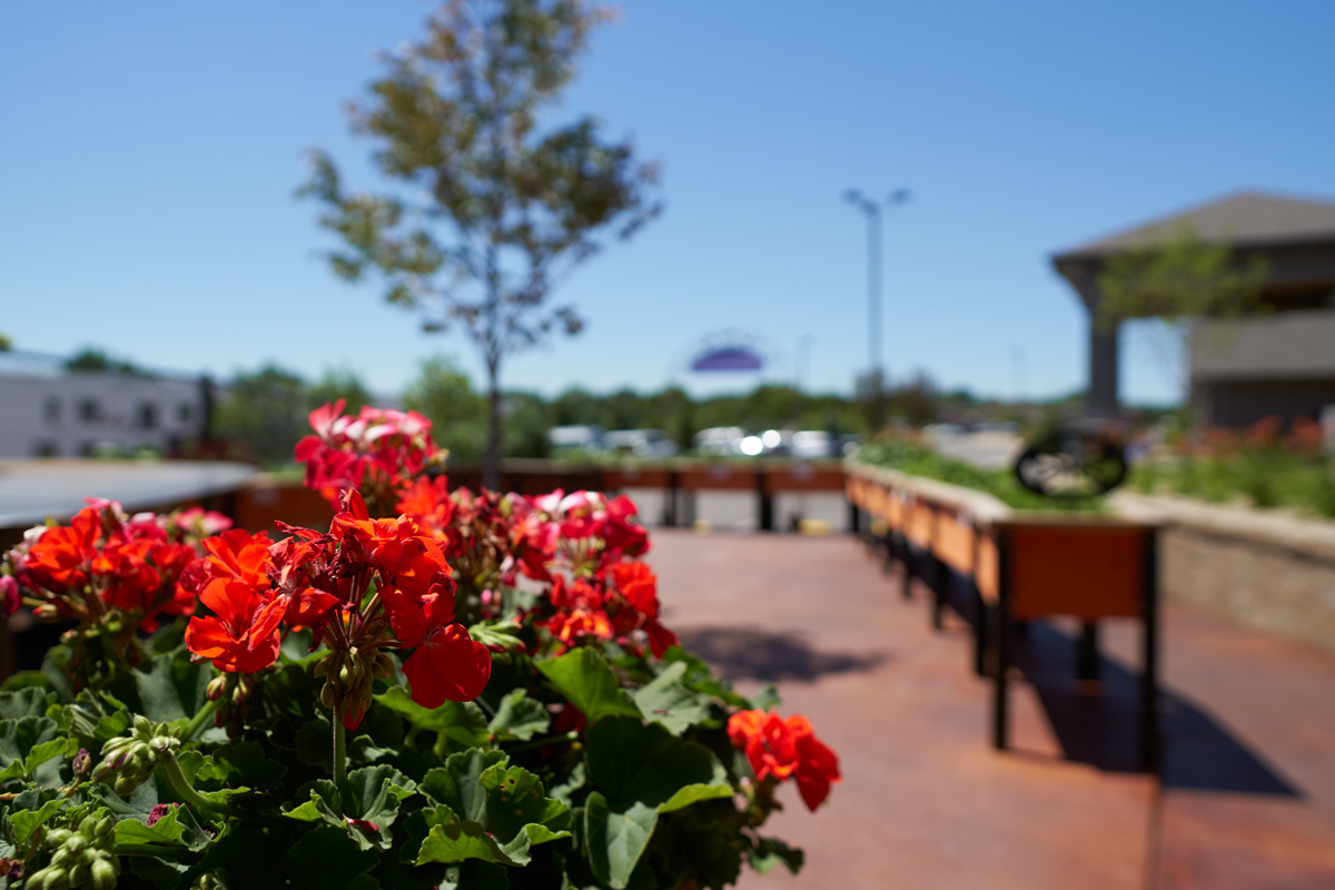 garden2.jpg