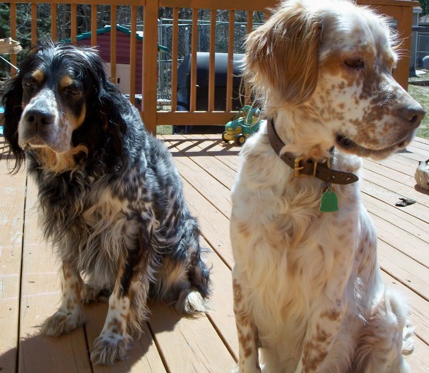 buddy+nutmeg.jpg