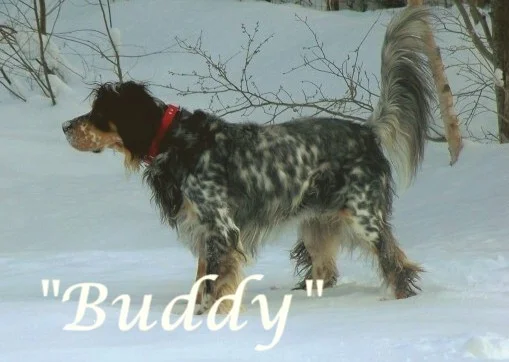 buddy+snow+228081w.jpg