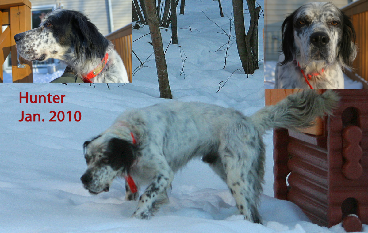 hunter+jan2010+2.jpg
