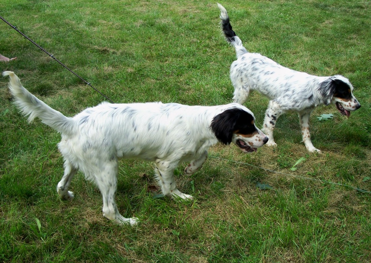 magicandroy0714082.jpg