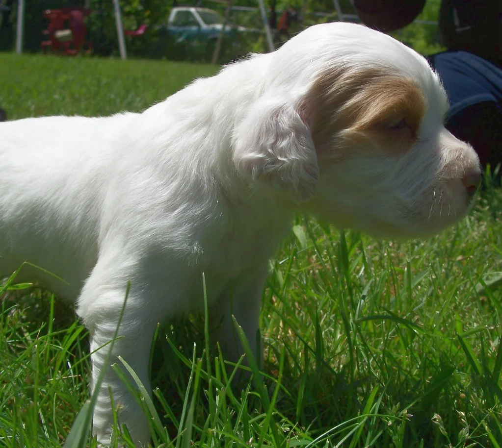 lucyf060411.jpg
