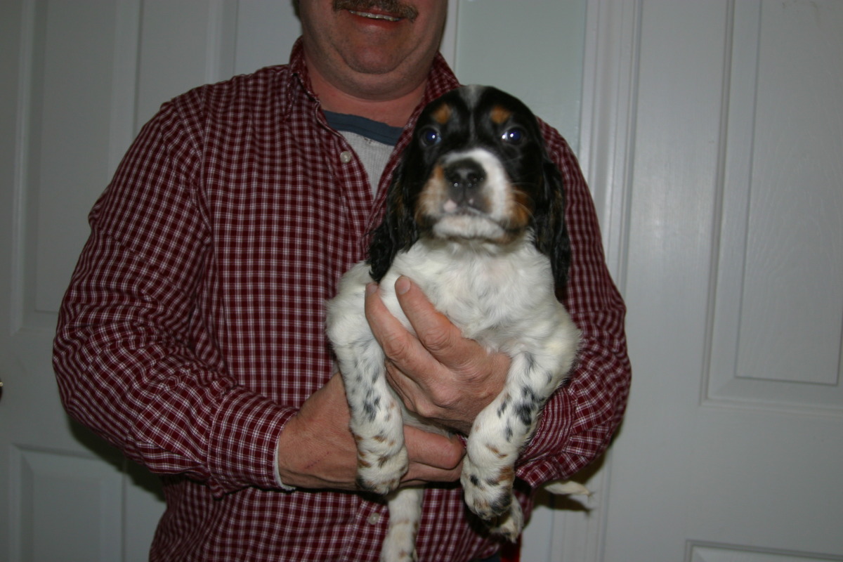 honey+male+20515.jpg