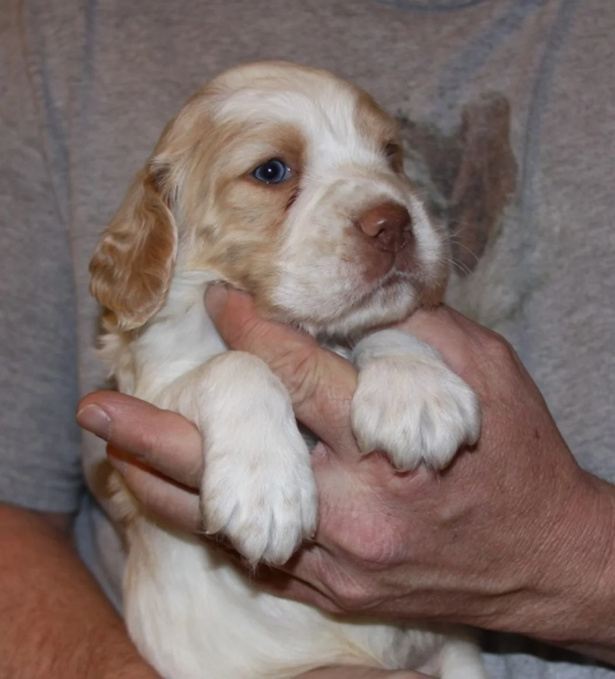 honey+male+1.27.18.jpg