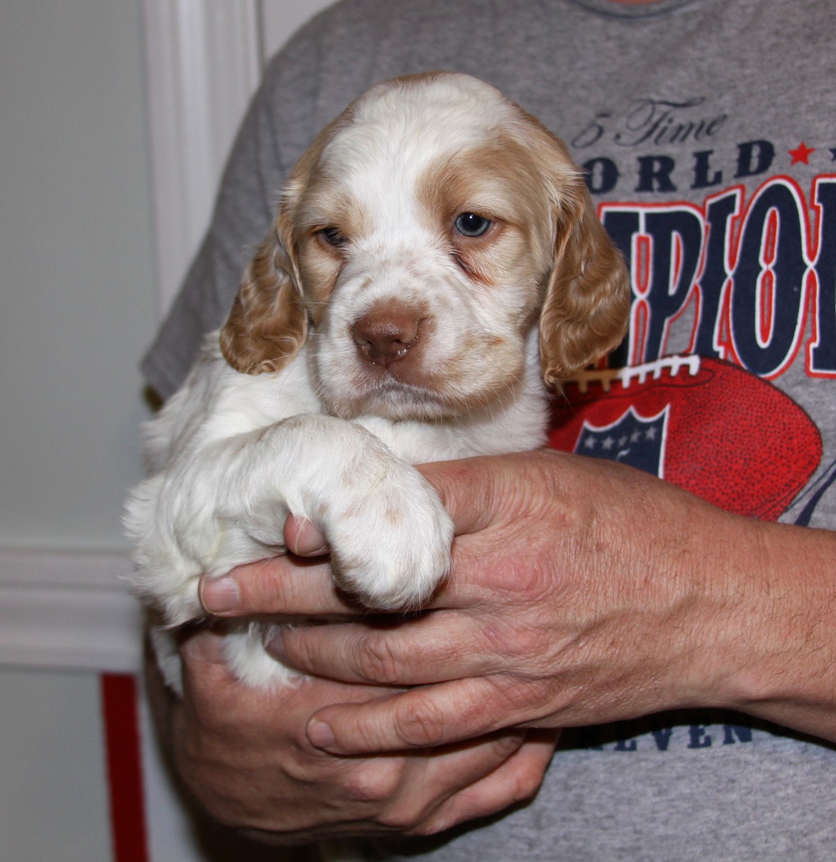 honey+male+1+2.2.18.jpg