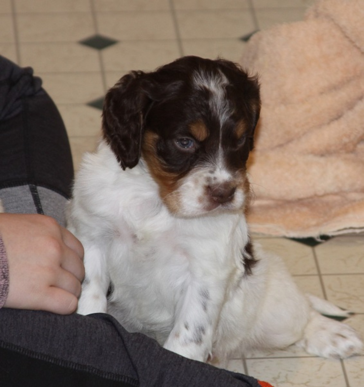 honey+male3+1.28.18.jpg