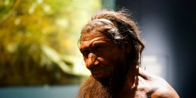 Neanderthal Study Corrects "Absurd" Misconception About the Ancient Humans