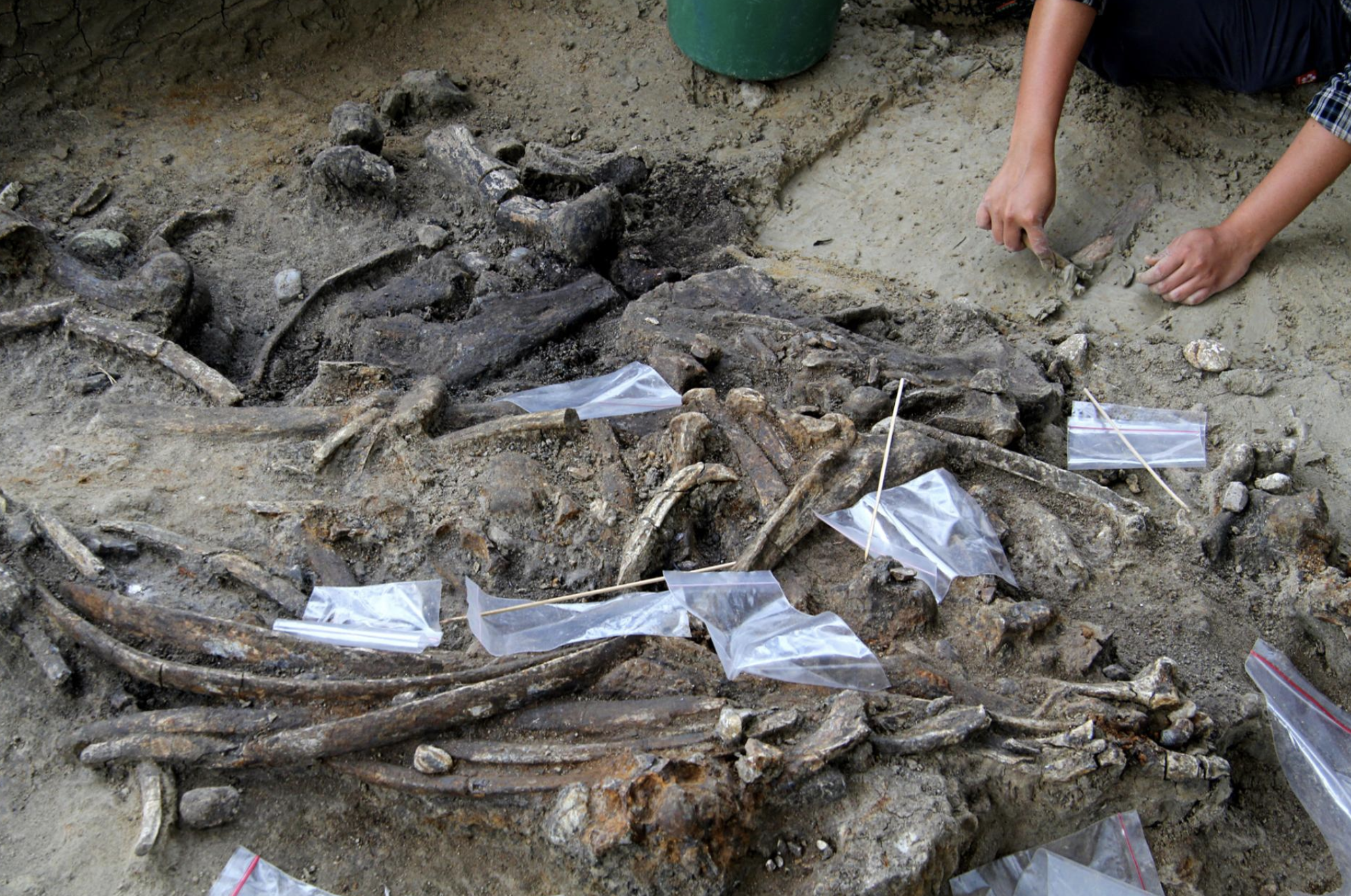 700,000-Year-Old Stone Tools Point to Mysterious Human Relative