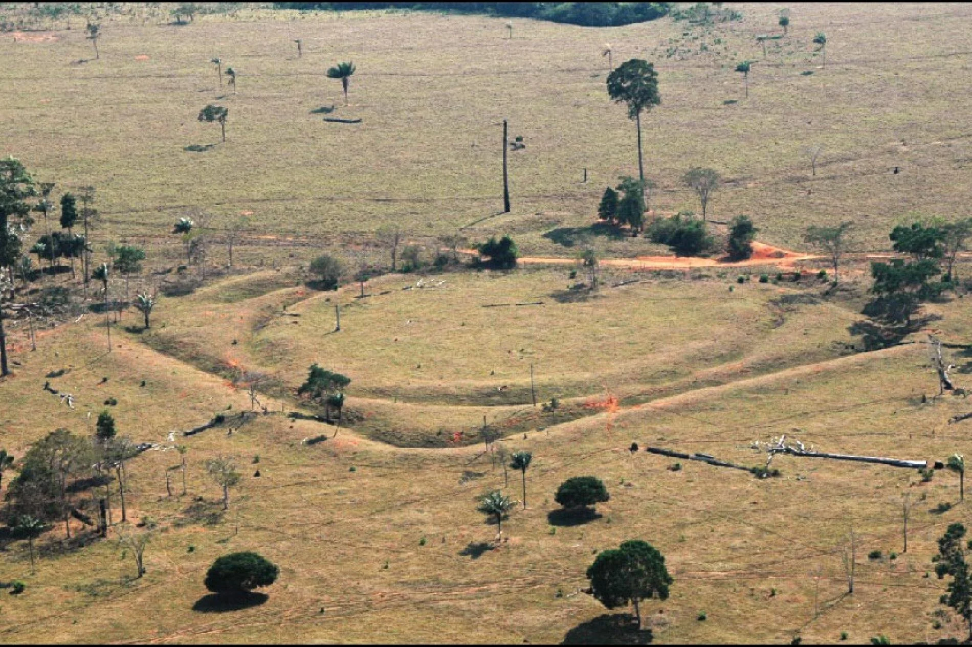 Geoglyphs in the southern Amazon are evidence of a once-thriving population.PHOTOGRAPH COURTESY OF UNIVERSITY OF EXETER