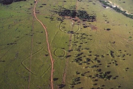 Hundreds of ancient earthworks resembling Stonehenge found in Amazon rainforest