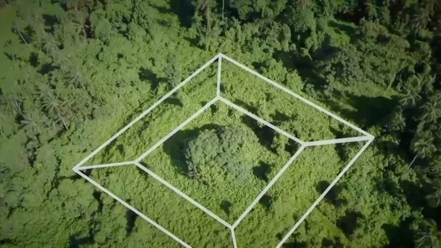 Uncovering the pyramid of Polynesia consumed by the jungle