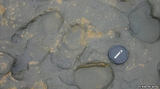 800,000-Year-Old Footprints