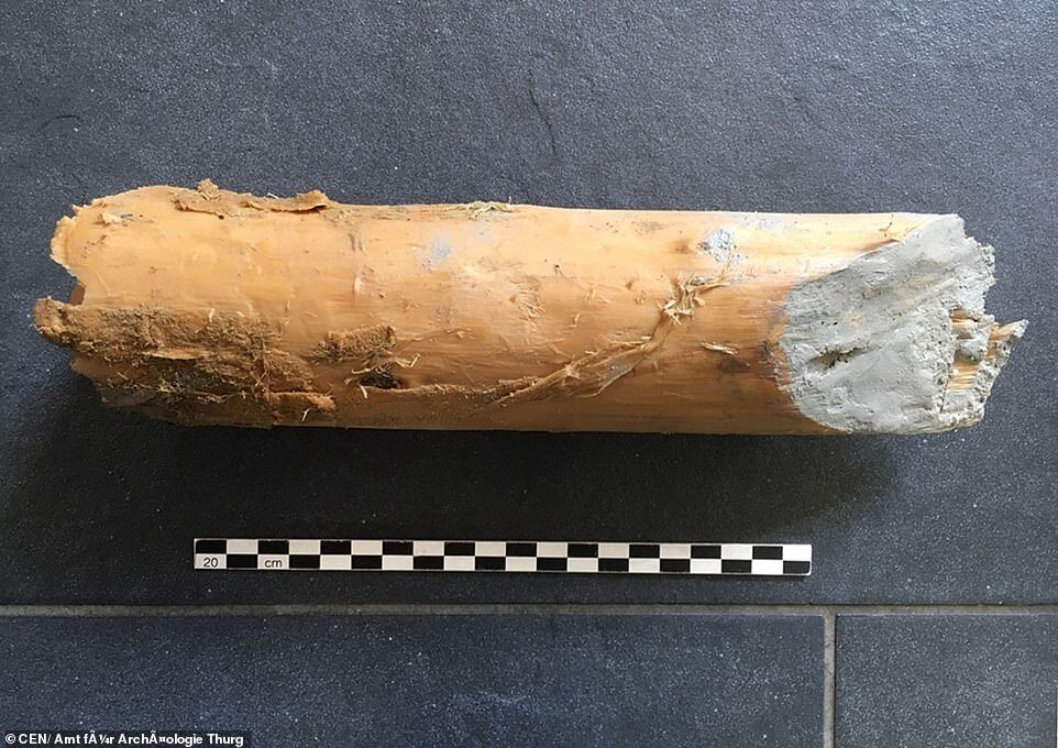   Pictured@ : A piece of Poplar wood retrieved by the divers which may have been used as part of the construction or excavation of the rocks. Experts have confirmed these mysterious piles of stones - compared to an underwater Stonehenge - found at th