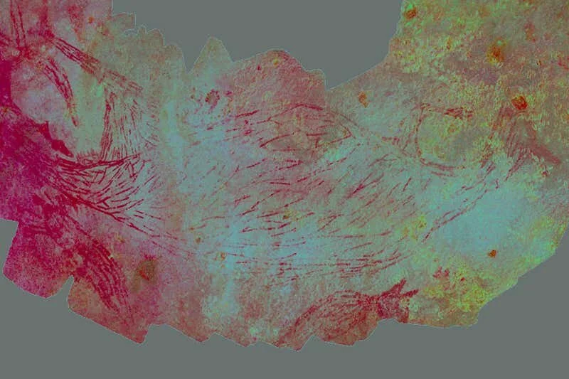 Australia's oldest known rock art is a 17,000-year-old kangaroo