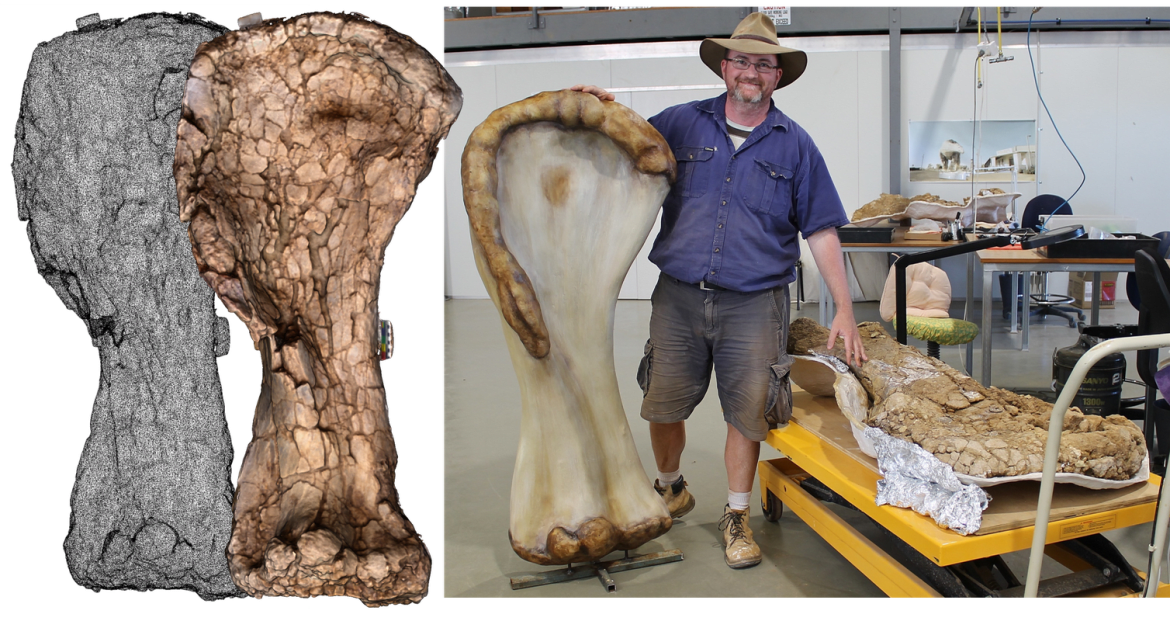 © Provided by The Daily Beast 3D scanning technology allows researchers an unprecedented way to compare fossilized bones of enormous dinosaurs, and view these digital replicas virtually. S. Hocknull &amp; R. Lawrence, Queensland Museum