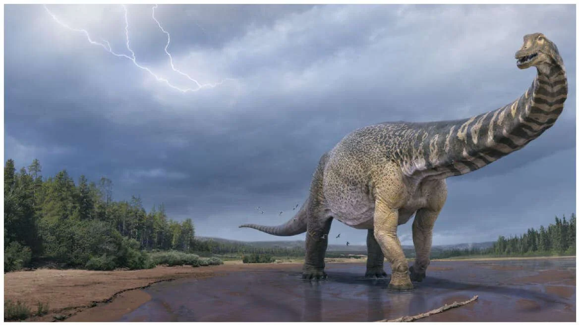 Lizard of Oz: Australia’s Biggest Dinosaur Discovered