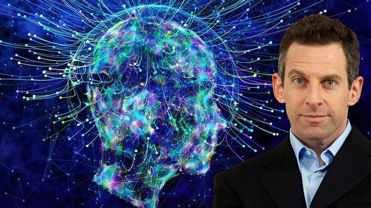 Waking Up with Sam Harris #113 — Consciousness and the Self with Anil K. Seth