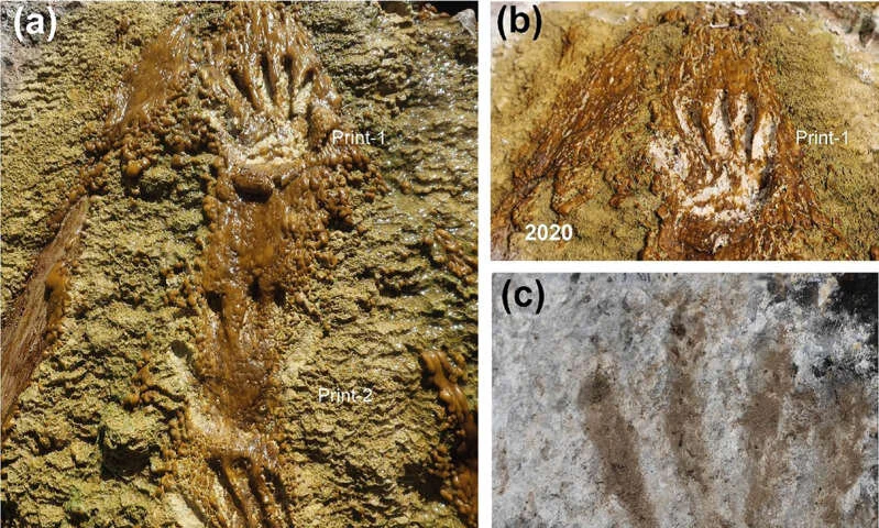Are 226,000-year-old handprints oldest art... or just child's play?