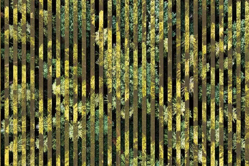 The quantum experiment that could prove reality doesn't exist 