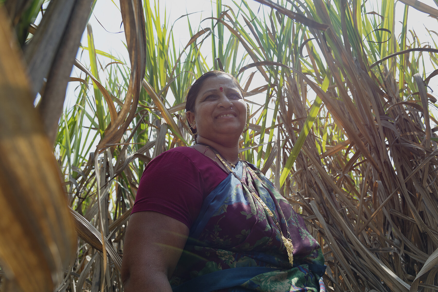   Sanjana Salunke , from Nagthane in Satara, stands in her sugarcane field. A few years ago she was working as a day laborer to help make ends meet after her husband’s car business lost a lot of money. When she heard that Mann Deshi offered women loa