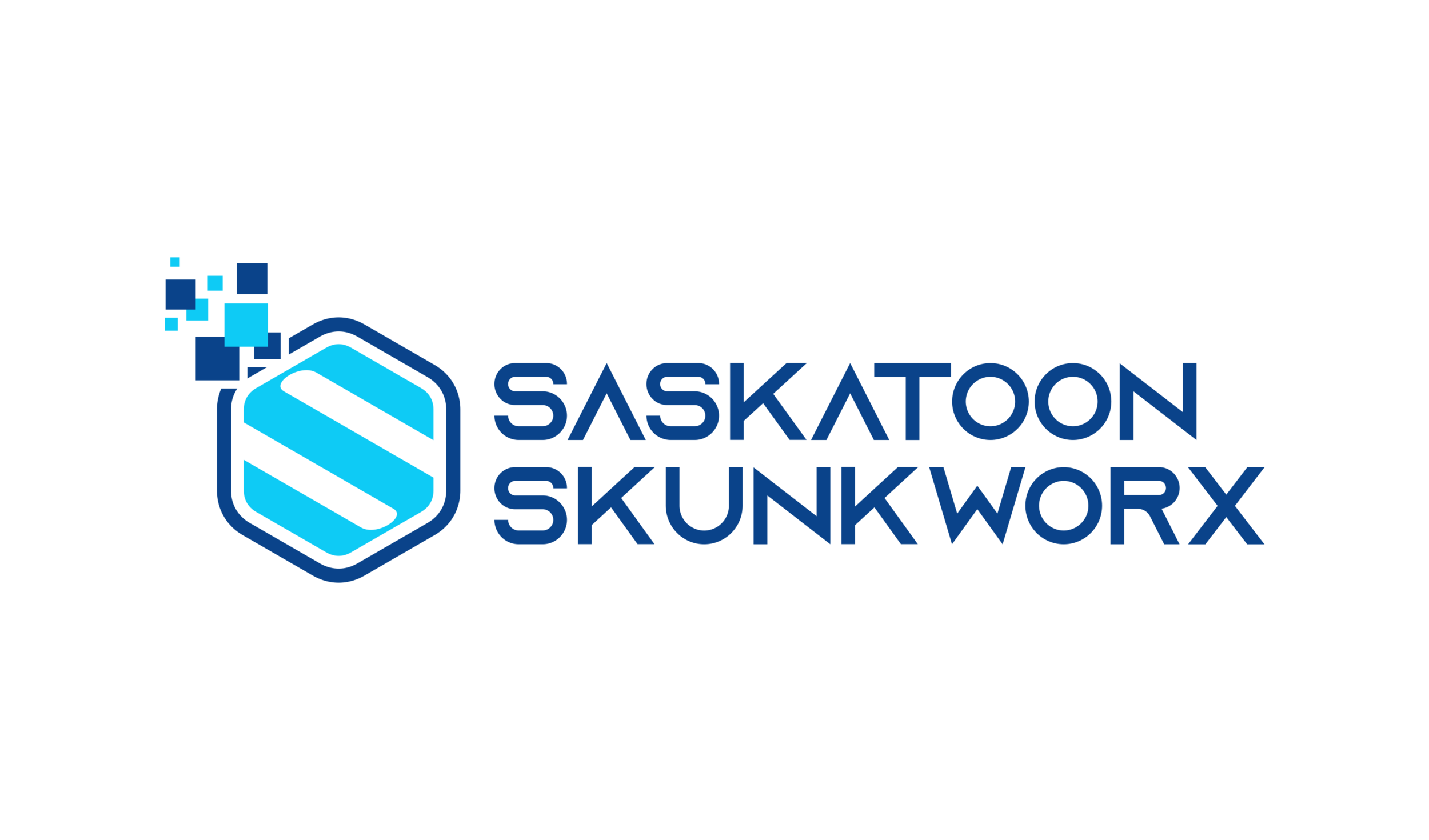Saskatoon Skunkworx