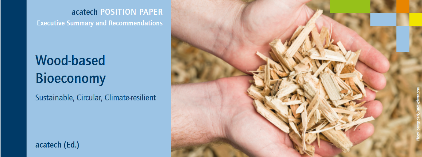 Wood-Based Bioeconomy. Sustainable, Circular, Climate-resilient