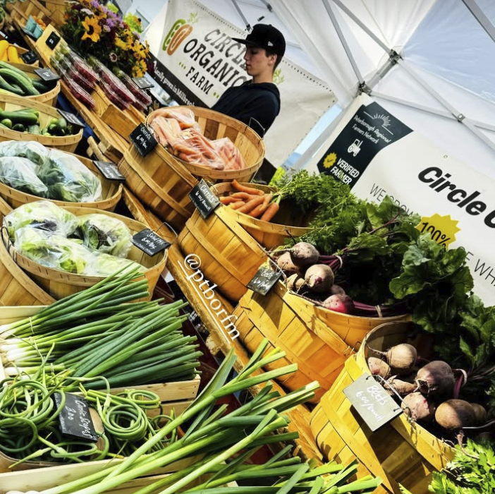 Screen Shot 2026-01-29 at 4.23.18 PM.png