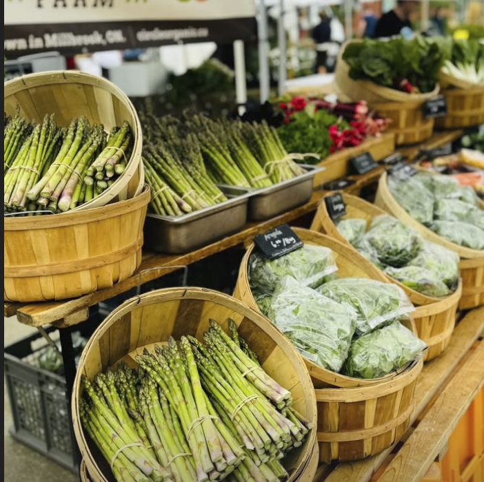 Screen Shot 2026-01-29 at 4.23.45 PM.png