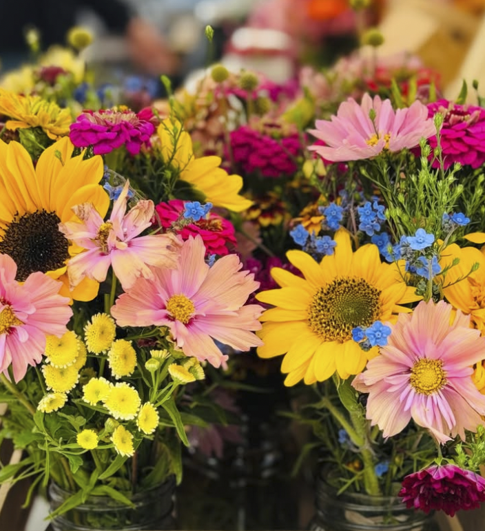 Screen Shot 2026-01-29 at 4.24.57 PM.png