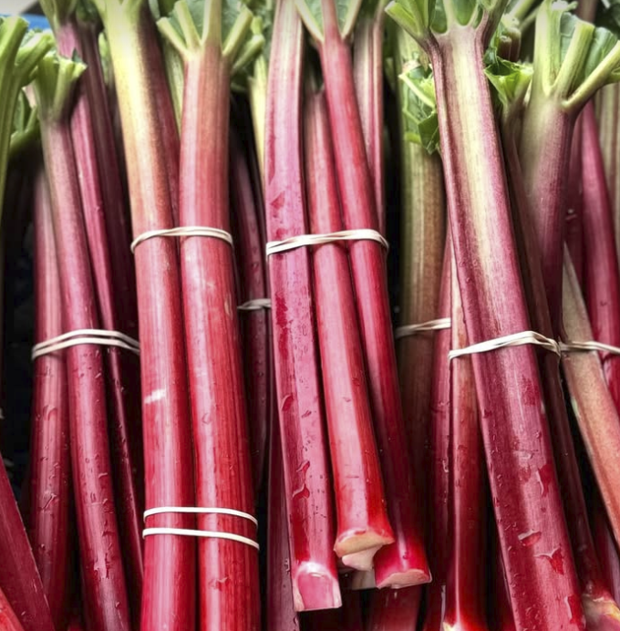 Screen Shot 2026-01-29 at 4.38.14 PM.png