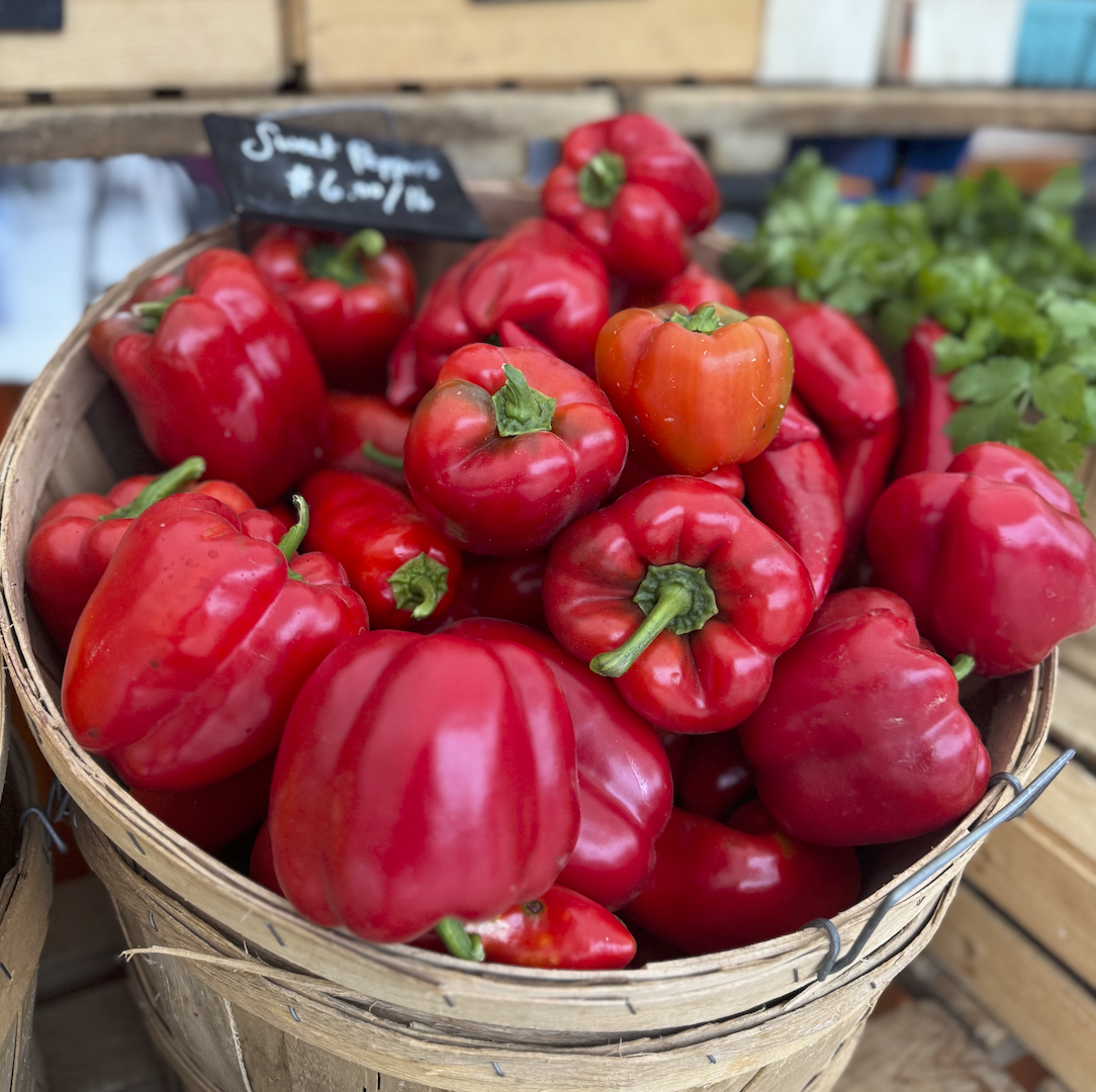 Screen Shot 2026-01-29 at 5.10.29 PM.png