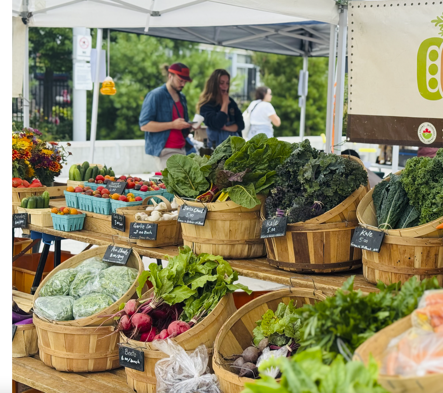 Screen Shot 2026-01-29 at 5.12.58 PM.png