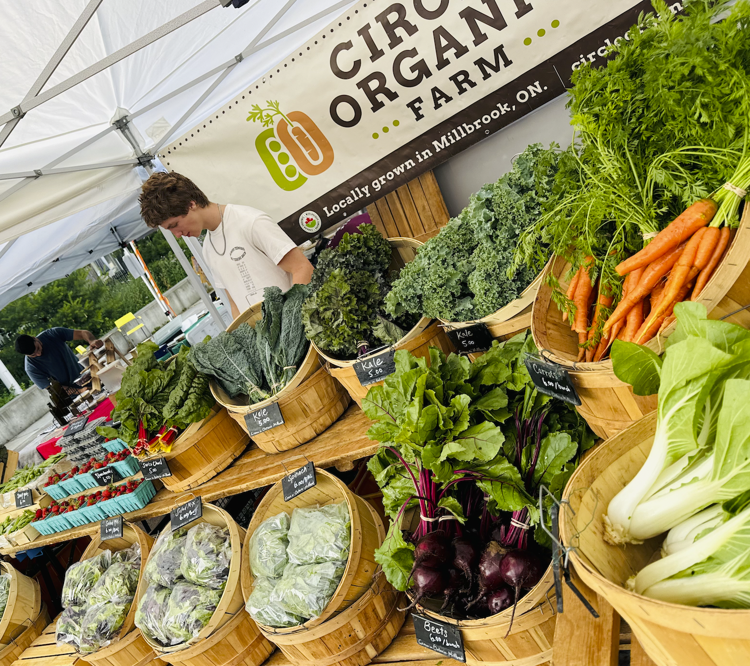 Screen Shot 2026-01-29 at 5.15.03 PM.png