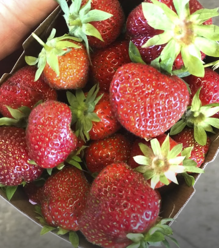 Screen Shot 2026-01-29 at 4.42.27 PM.png