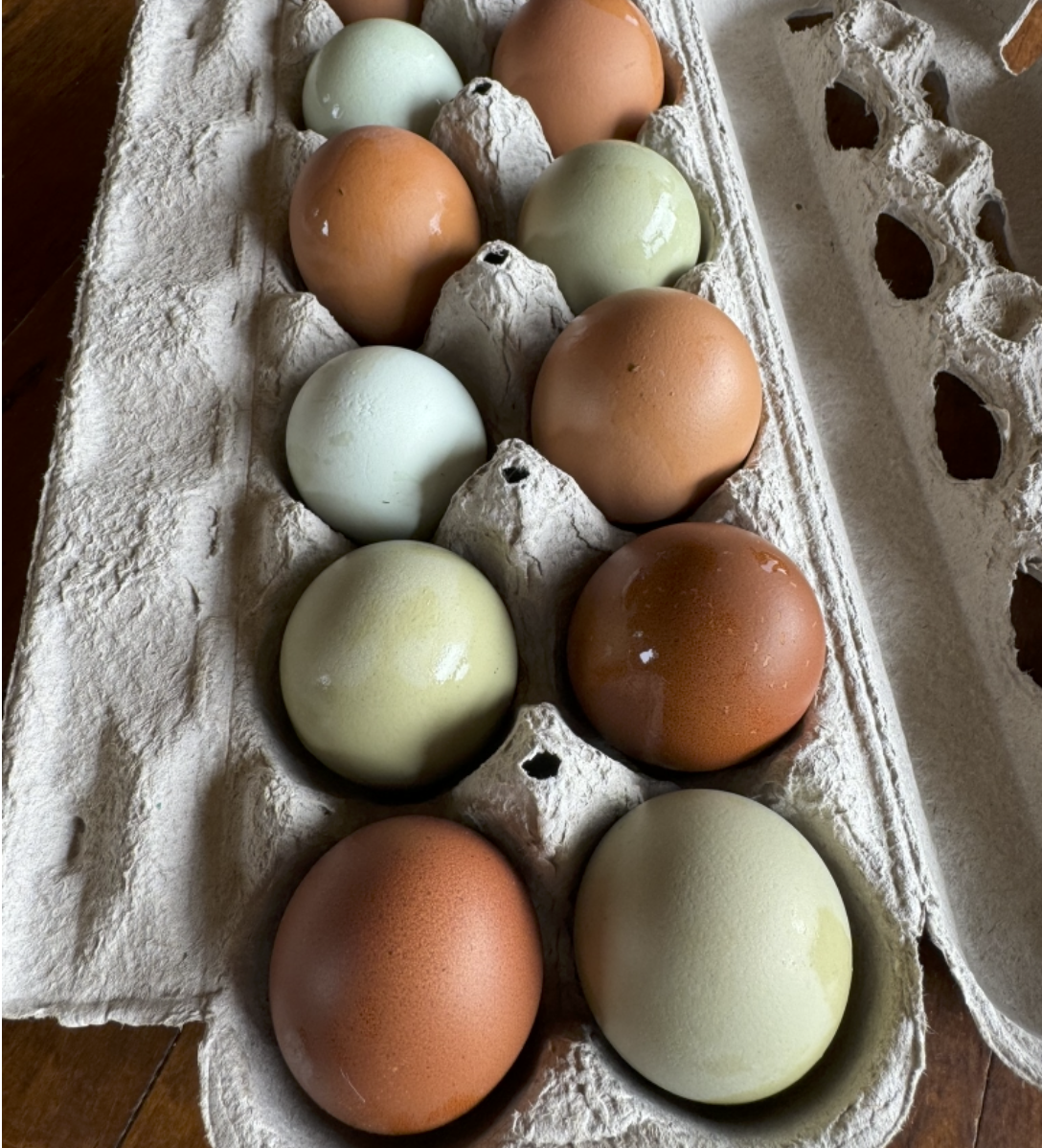 Screen Shot 2026-01-31 at 7.14.15 PM.png