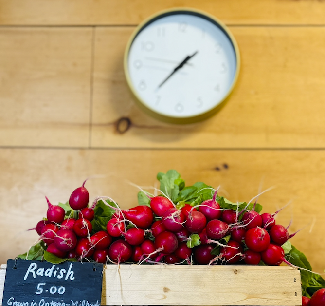 Screen Shot 2026-01-31 at 7.12.31 PM.png