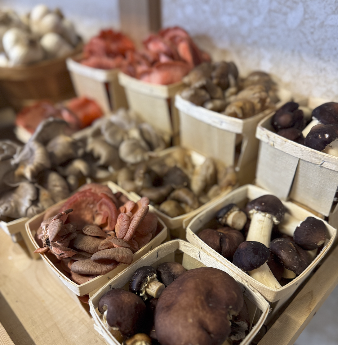 Screen Shot 2026-01-31 at 7.10.33 PM.png