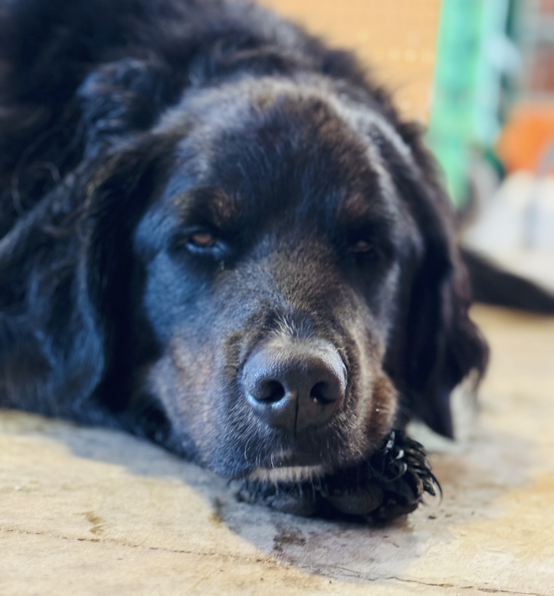 Screen Shot 2026-01-31 at 7.09.08 PM.png