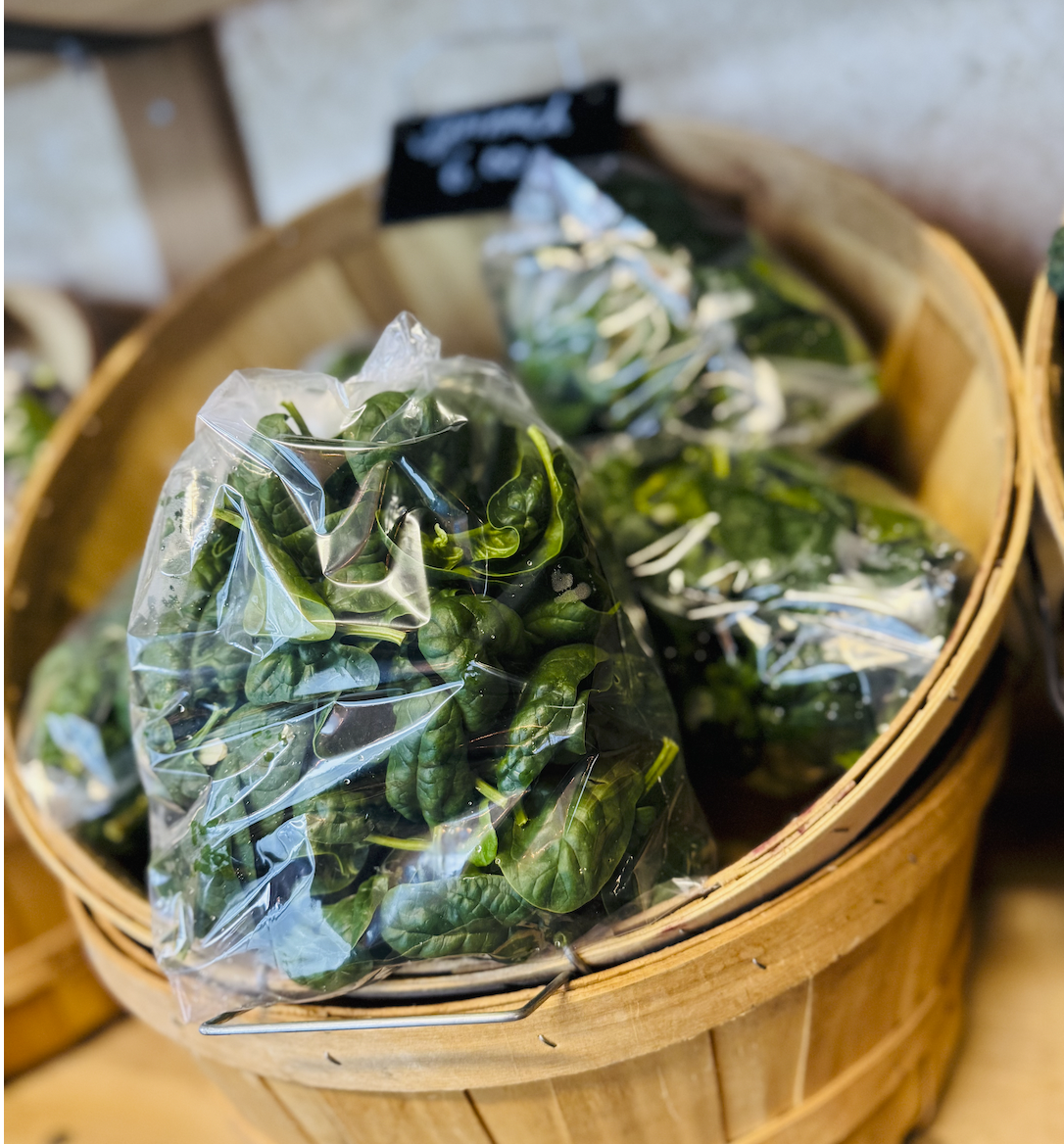 Screen Shot 2026-01-31 at 7.08.41 PM.png