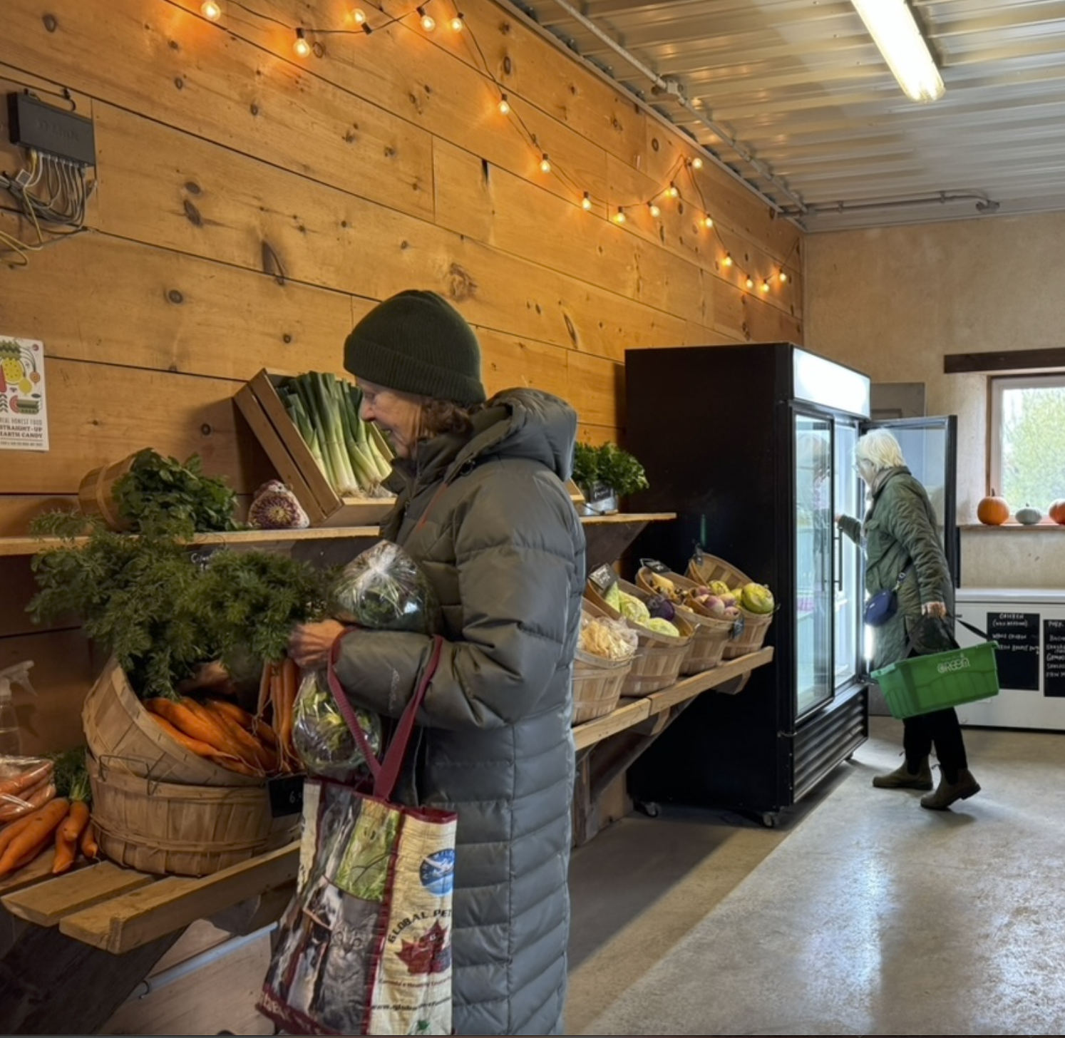 Screen Shot 2026-01-31 at 7.06.26 PM.png